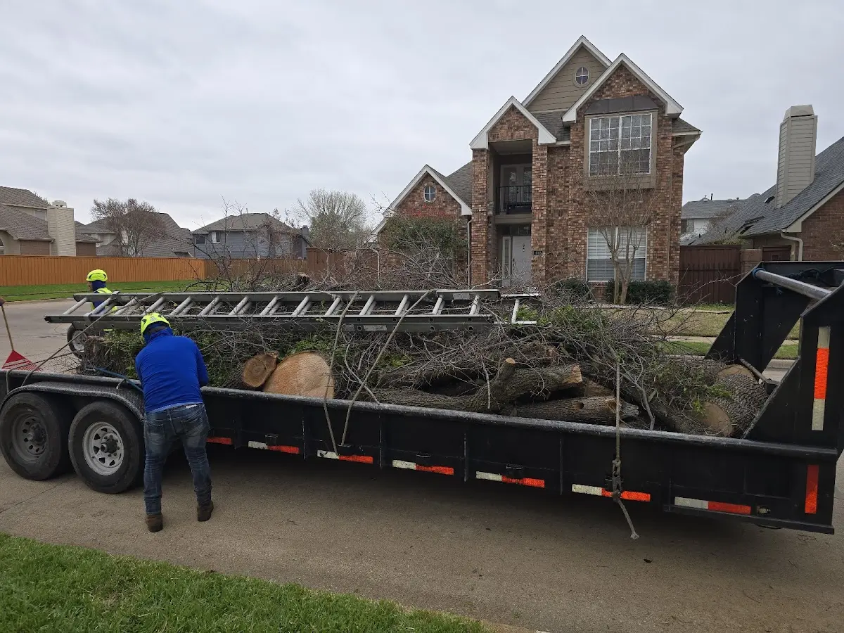 Expert Tree Pest Control with proper safety equipment in Hillsboro